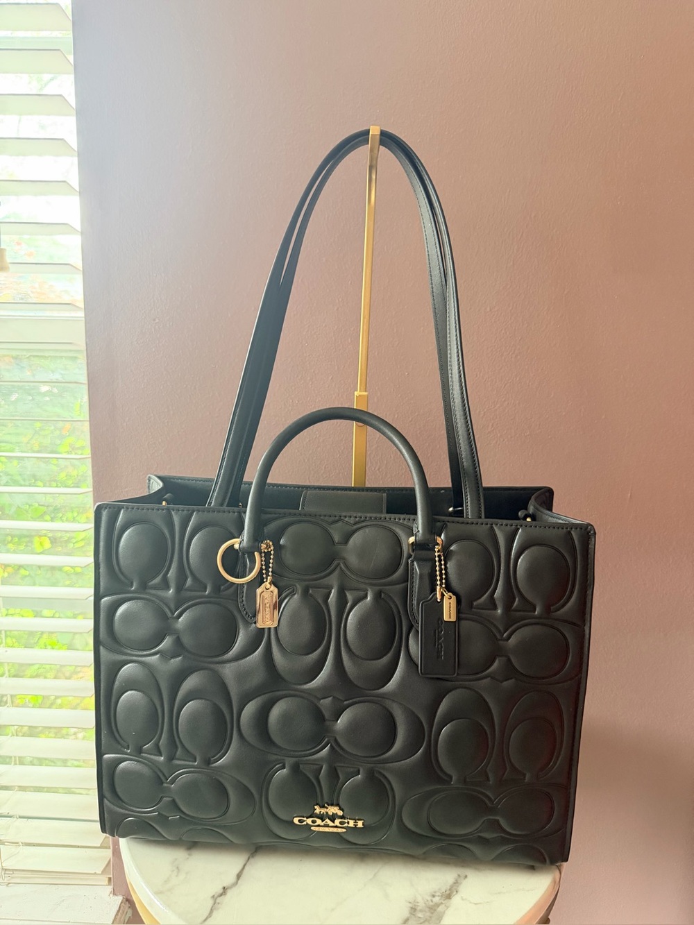 Coach Maggie Tote - Picture 9 of 10
